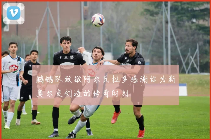 鹈鹕队致敬阿尔瓦拉多感谢你为新奥尔良创造的传奇时刻